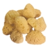 Gąbki poch.morkiego MARINE SPONGES X 12 szt.